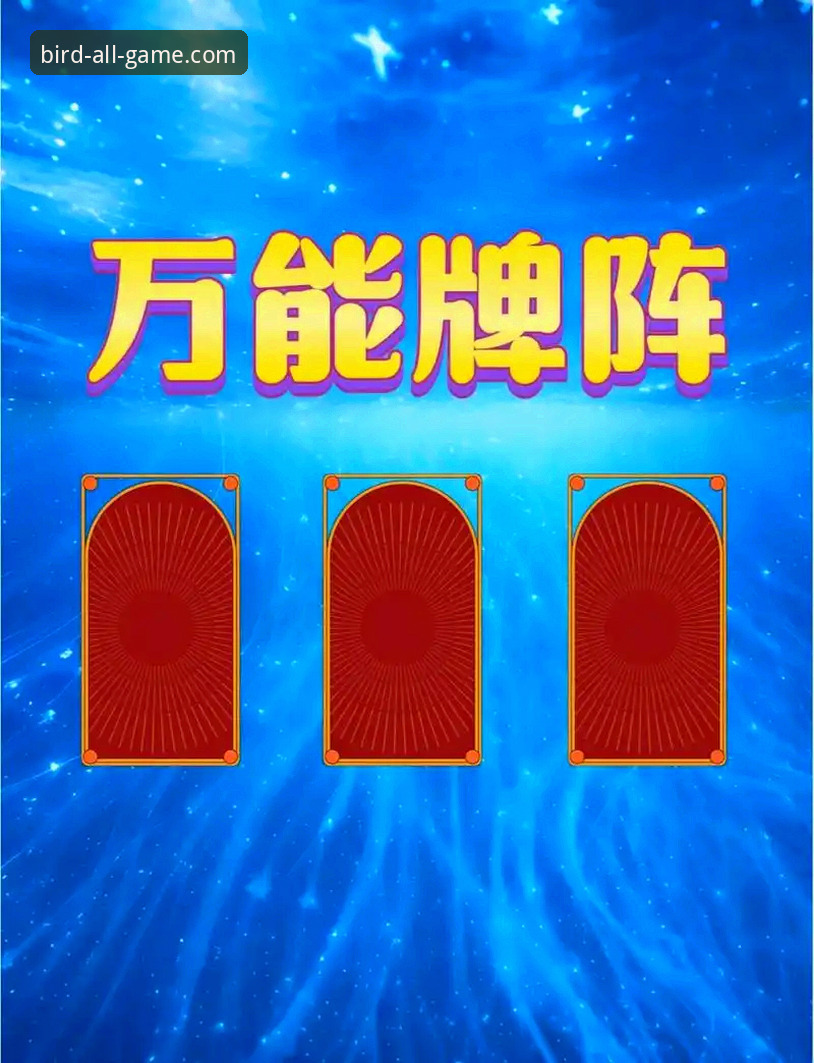 小鸟体育安装指引完整指南：从下载到使用的新手必读手册